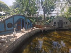 -南宫五洲植物乐园