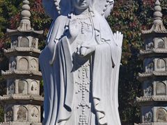 -泰山风景名胜区-普照寺