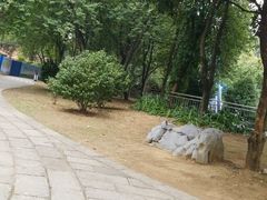 -柳州市动物园