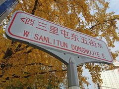-三里屯东五街银杏大道
