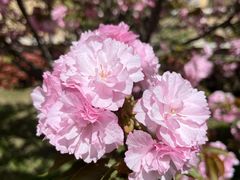 -河南省黄河迎宾馆