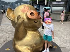 -星光大道
