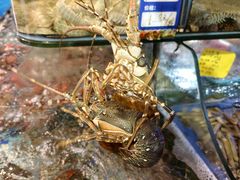 -友强·23年特色海鲜大排档(厦门店)