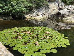 -涂山风景区