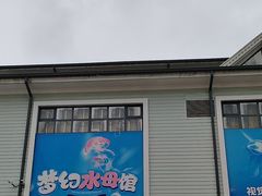 -海合安成都极地海洋公园