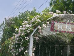 -太阳宫公园