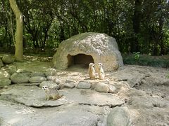 -上海野生动物园