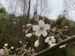 -贵阳市花溪国家城市湿地公园