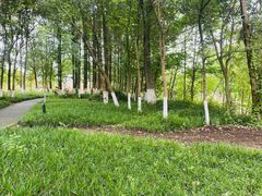 -桤木河湿地公园