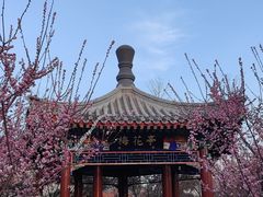 -德胜公园