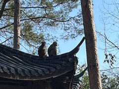 -千岛湖东南湖区