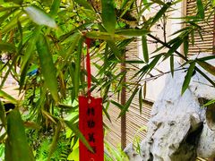 -香园自助小火锅