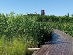 -永定河休闲森林公园