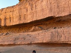 -李宁(大宁国际旗舰店)