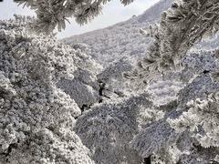 -安吉龙王山风景区