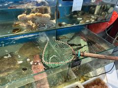 -颐和海鲜饺子