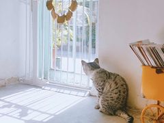 -小时光咖啡馆(北锣鼓巷店)