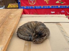 -龙华素斋(龙华路店)