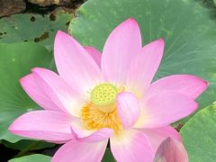 -天津东丽湖风景区