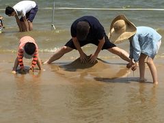 -碧海金沙