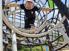 -碧海金沙