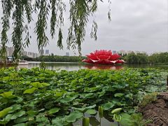 -洛阳市隋唐城遗址植物园