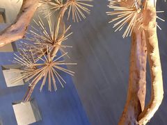 -春熙台韩国料理·章鱼肥牛(西丽店)