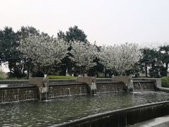 -太阳岛度假酒店