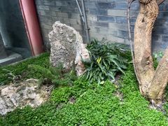 -院8里·少城记忆老川菜(宽窄巷子店)