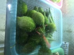 龙姐私房菜-龙姐私房菜(和顺古镇店)