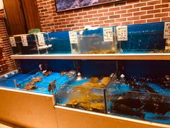 水产区-姜君·千岛湖鱼头馆(浦东大道店)