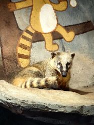 -Zoolung Zoolung动物主题公园(海信广场店)