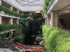 -白天鹅宾馆·流浮阁咖啡厅