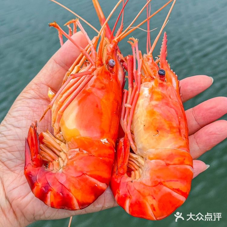 苏州阳澄湖！记住这个地方…太美啦