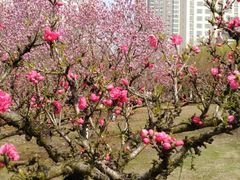 -白塘生态植物园