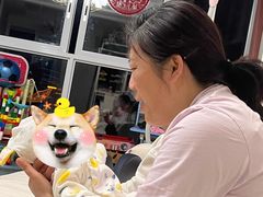 -田螺阿姨自营月嫂·育儿嫂(高新店)