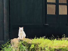 -灵隐飞来峰景区