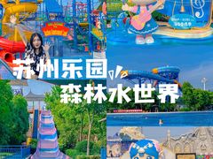 -苏州乐园森林水世界