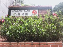 -九龙公园