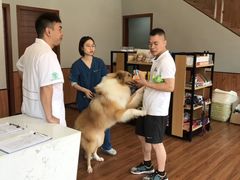 -东莞宠友24H宠物中心医院·转诊夜诊·异宠(新河北路院)