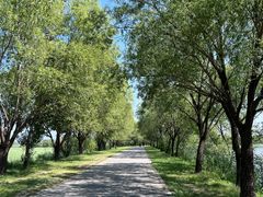 -野鸭湖国家湿地公园