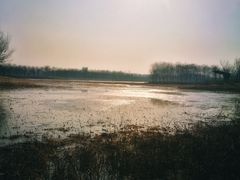 -东郊湿地公园