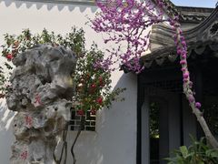 景点-苏州严家花园
