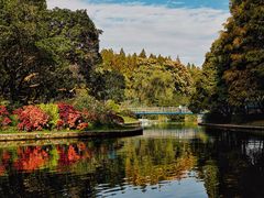 -上海共青森林公园