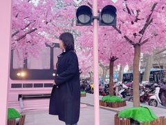 -金茂览秀城
