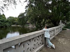 -叶家花园