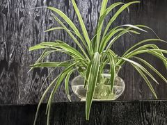 -今日牛事潮汕鲜牛肉火锅(瑞金店)