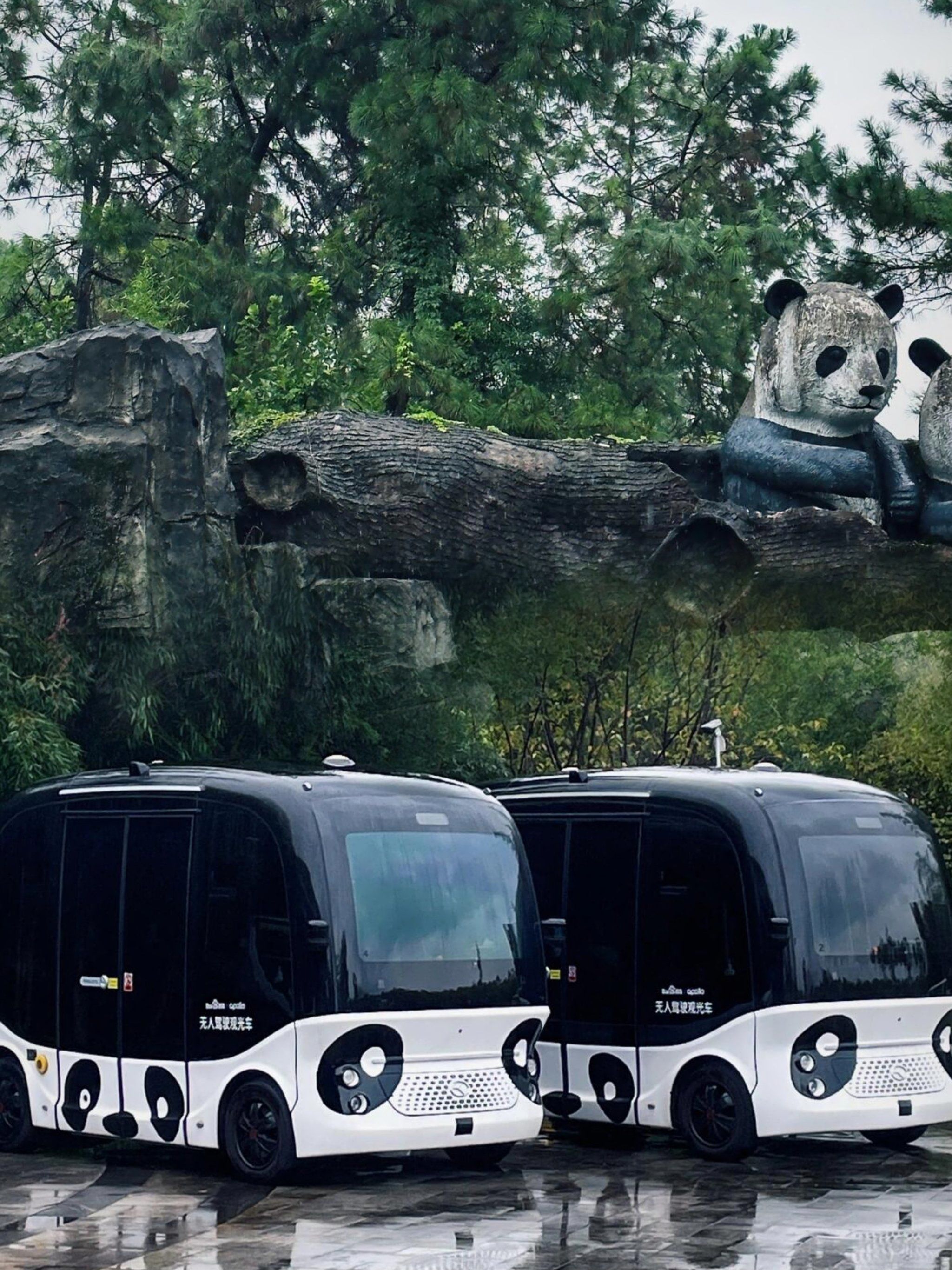 94 安吉竹博园 不出省就能近距离接触大熊猫