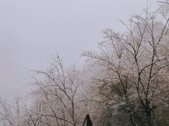 -北高峰