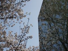 -龙美术馆(西岸馆)